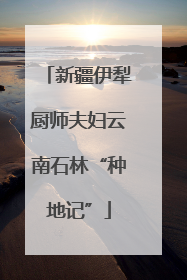 新疆伊犁厨师夫妇云南石林“种地记”