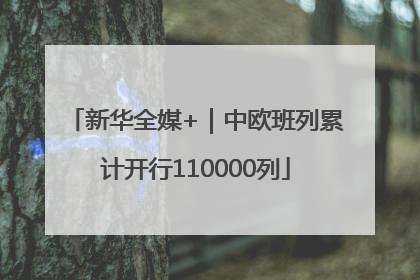 新华全媒+｜中欧班列累计开行110000列