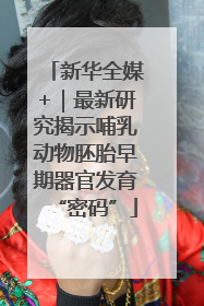 新华全媒+｜最新研究揭示哺乳动物胚胎早期器官发育“密码”