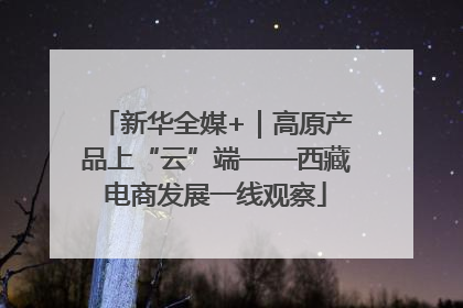新华全媒+｜高原产品上“云”端——西藏电商发展一线观察
