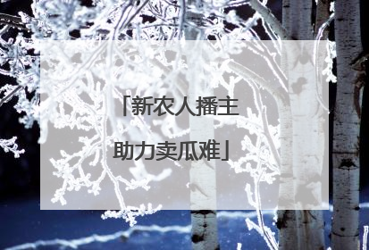 新农人播主 助力卖瓜难