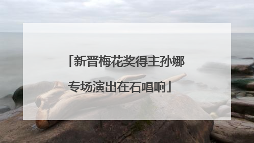 新晋梅花奖得主孙娜专场演出在石唱响