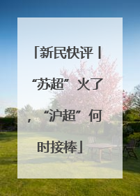 新民快评丨“苏超”火了，“沪超”何时接棒