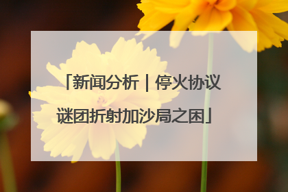 新闻分析｜停火协议谜团折射加沙局之困