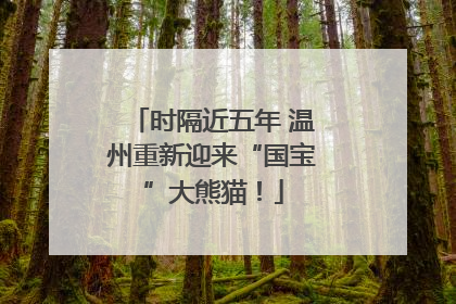 时隔近五年 温州重新迎来“国宝”大熊猫！