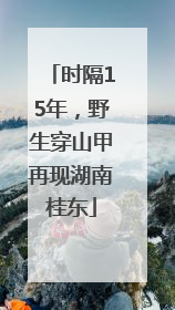 时隔15年，野生穿山甲再现湖南桂东