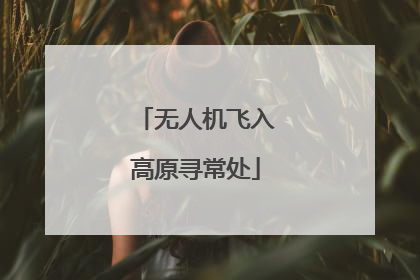 无人机飞入高原寻常处