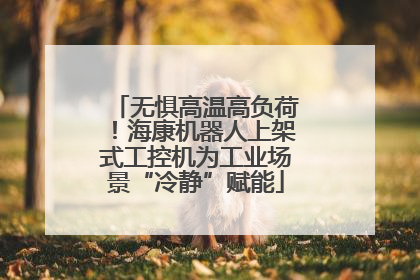 无惧高温高负荷！海康机器人上架式工控机为工业场景“冷静”赋能