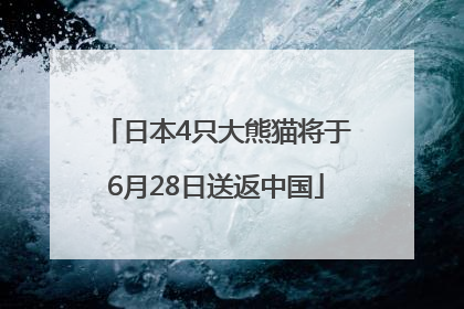 日本4只大熊猫将于6月28日送返中国