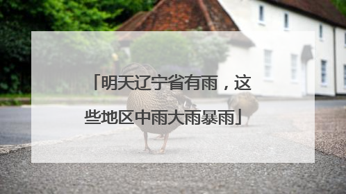 明天辽宁省有雨，这些地区中雨大雨暴雨