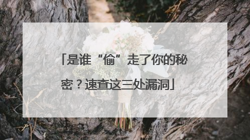 是谁“偷”走了你的秘密？速查这三处漏洞