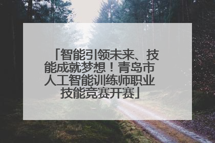智能引领未来、技能成就梦想！青岛市人工智能训练师职业技能竞赛开赛