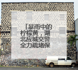 暴雨中的柠檬黄，湖北应城交警全力疏堵保畅护平安