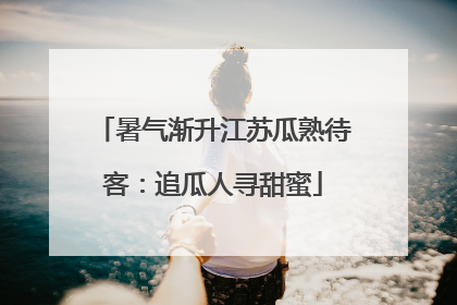 暑气渐升江苏瓜熟待客：追瓜人寻甜蜜