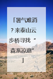 暑气难消？来泰山云步桥寻找“森系凉意”