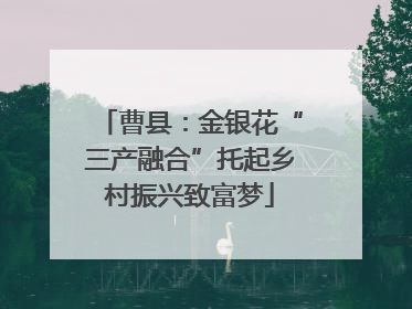 曹县：金银花“三产融合”托起乡村振兴致富梦