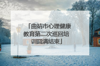 曲靖市心理健康教育第二次巡回培训圆满结束