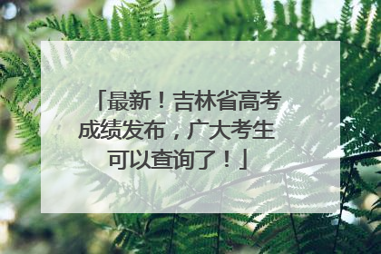 最新！吉林省高考成绩发布，广大考生可以查询了！