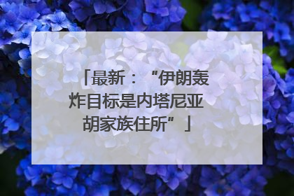 最新：“伊朗轰炸目标是内塔尼亚胡家族住所”