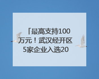 最高支持100万元！武汉经开区5家企业入选2025年度武汉市重点研发计划拟立项项目名单