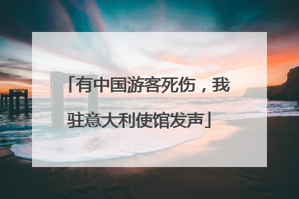 有中国游客死伤，我驻意大利使馆发声