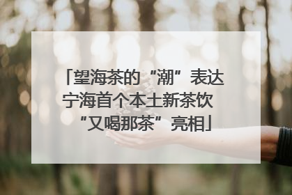 望海茶的“潮”表达 宁海首个本土新茶饮“又喝那茶”亮相