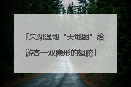 朱湖湿地“天地图”给游客一双隐形的翅膀