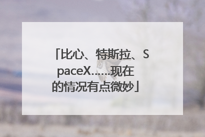比心、特斯拉、SpaceX……现在的情况有点微妙
