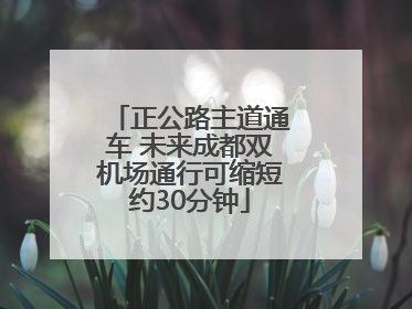 正公路主道通车 未来成都双机场通行可缩短约30分钟