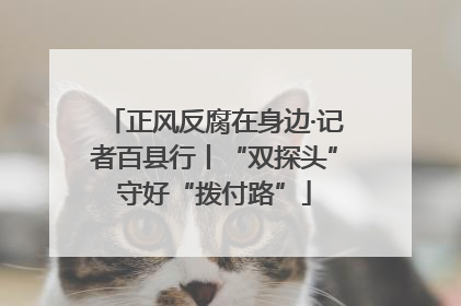 正风反腐在身边·记者百县行丨“双探头”守好“拨付路”