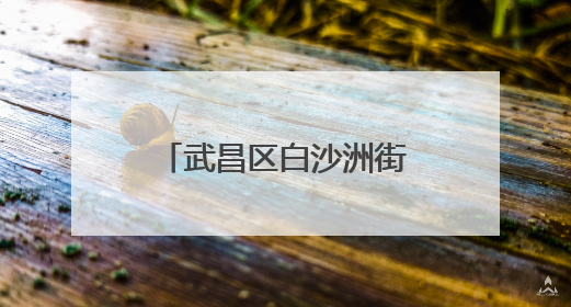 武昌区白沙洲街道：为居民送上健康饮食“指南”