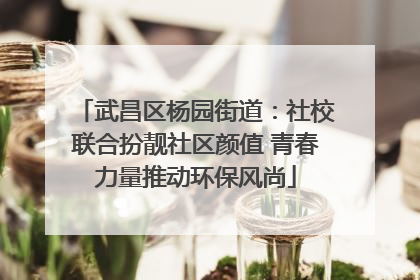 武昌区杨园街道：社校联合扮靓社区颜值 青春力量推动环保风尚