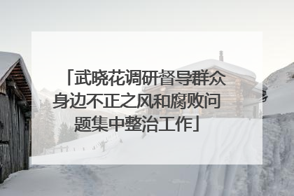 武晓花调研督导群众身边不正之风和腐败问题集中整治工作