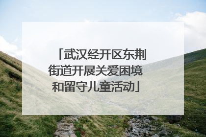 武汉经开区东荆街道开展关爱困境和留守儿童活动
