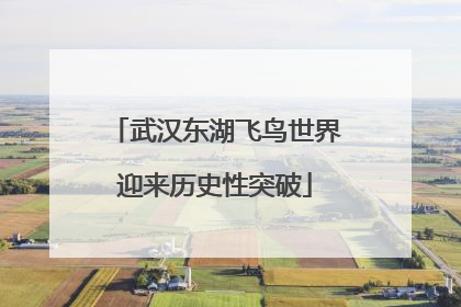 武汉东湖飞鸟世界迎来历史性突破