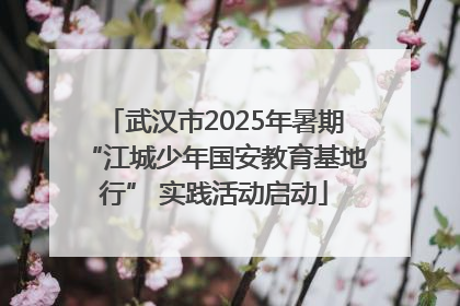 武汉市2025年暑期“江城少年国安教育基地行” 实践活动启动