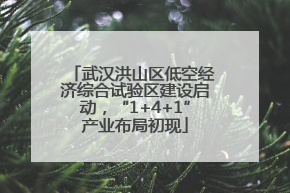武汉洪山区低空经济综合试验区建设启动，“1+4+1”产业布局初现