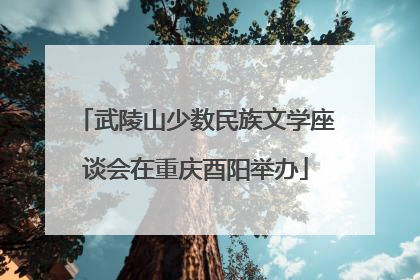 武陵山少数民族文学座谈会在重庆酉阳举办