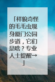 样貌奇怪的毛毛虫现身厦门公园步道，它们是啥？专业人士提醒→