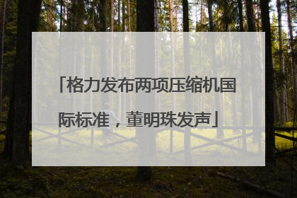 格力发布两项压缩机国际标准，董明珠发声