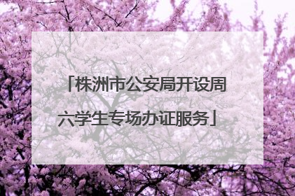 株洲市公安局开设周六学生专场办证服务