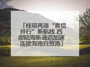 桂琼再添“客货并行”新航线 西部陆海新通道加速连接海南自贸港