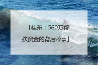 桂东：560万帮扶资金的背后故事