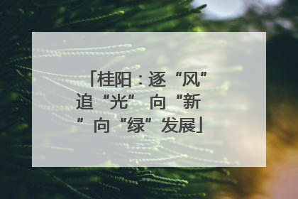 桂阳：逐“风”追“光” 向“新”向“绿”发展