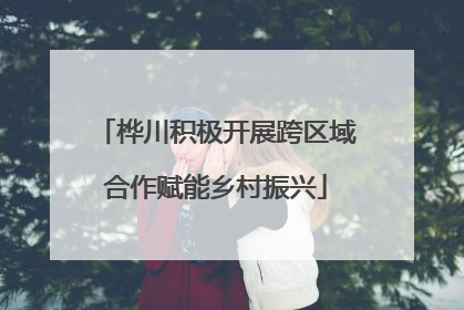 桦川积极开展跨区域合作赋能乡村振兴