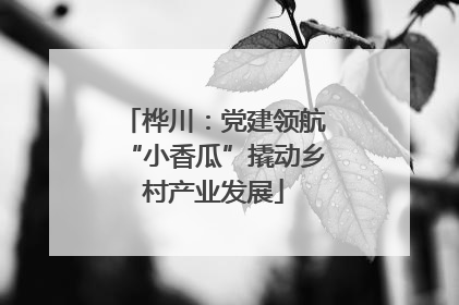 桦川：党建领航“小香瓜”撬动乡村产业发展