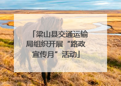 梁山县交通运输局组织开展“路政宣传月”活动