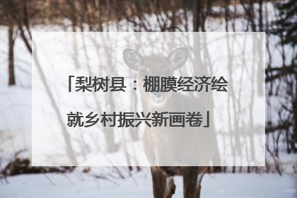 梨树县：棚膜经济绘就乡村振兴新画卷
