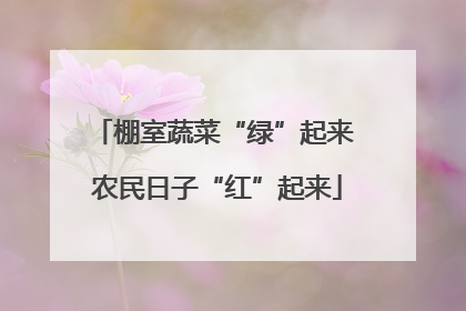 棚室蔬菜“绿”起来 农民日子“红”起来