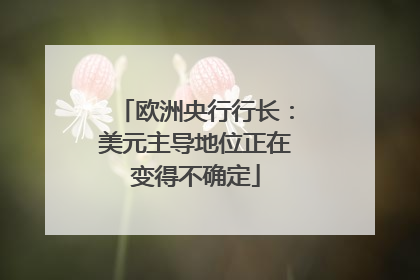 欧洲央行行长：美元主导地位正在变得不确定
